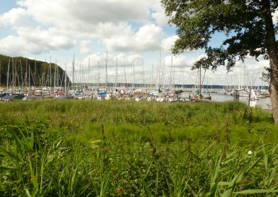 Ketelsens Ferienwohnung 050